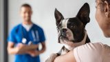 Pet Care