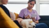 PetShow - Serviço Veterinário em casa